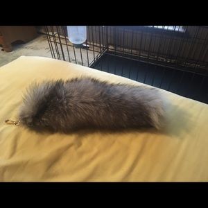 Meet your Posher, Mason